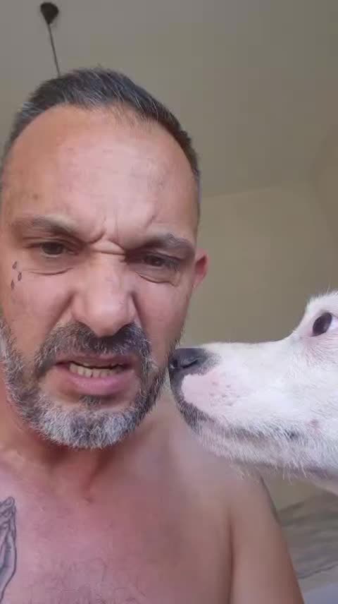 @Vitaliano Corasoniti
