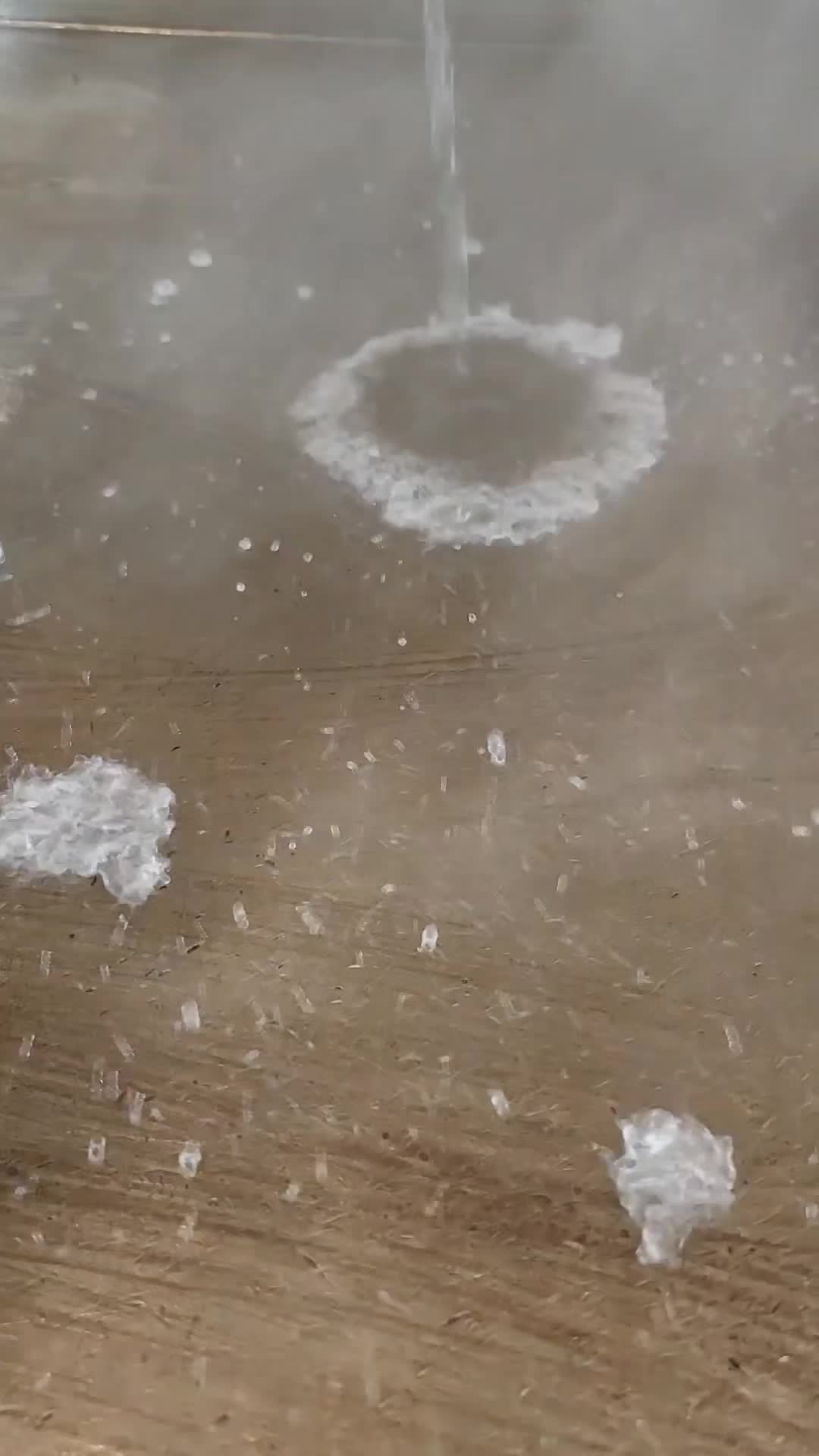 @ChefAlton