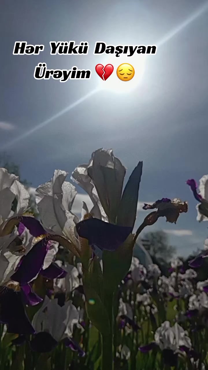 @♡𝙈𝙞𝙣𝙣𝙤𝙨̧➷♡🌸