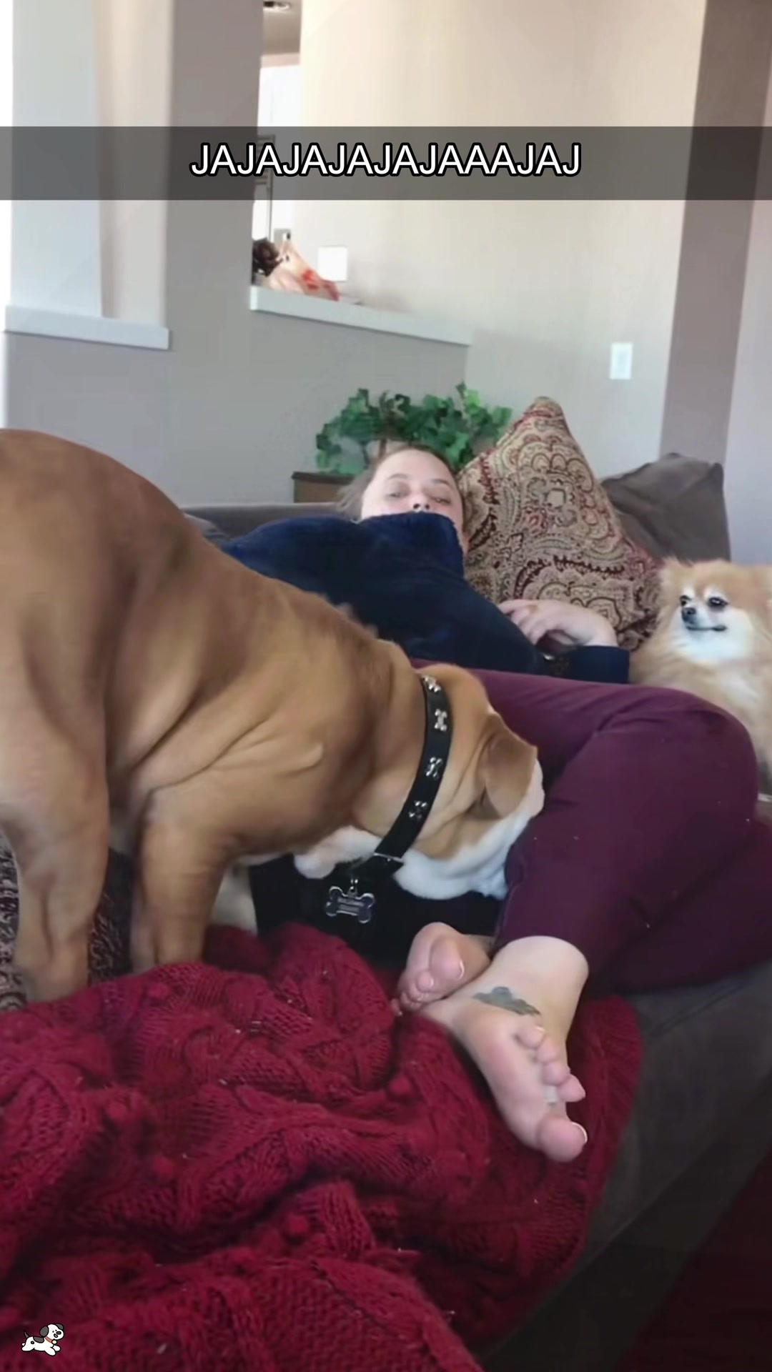 @SneakyFails