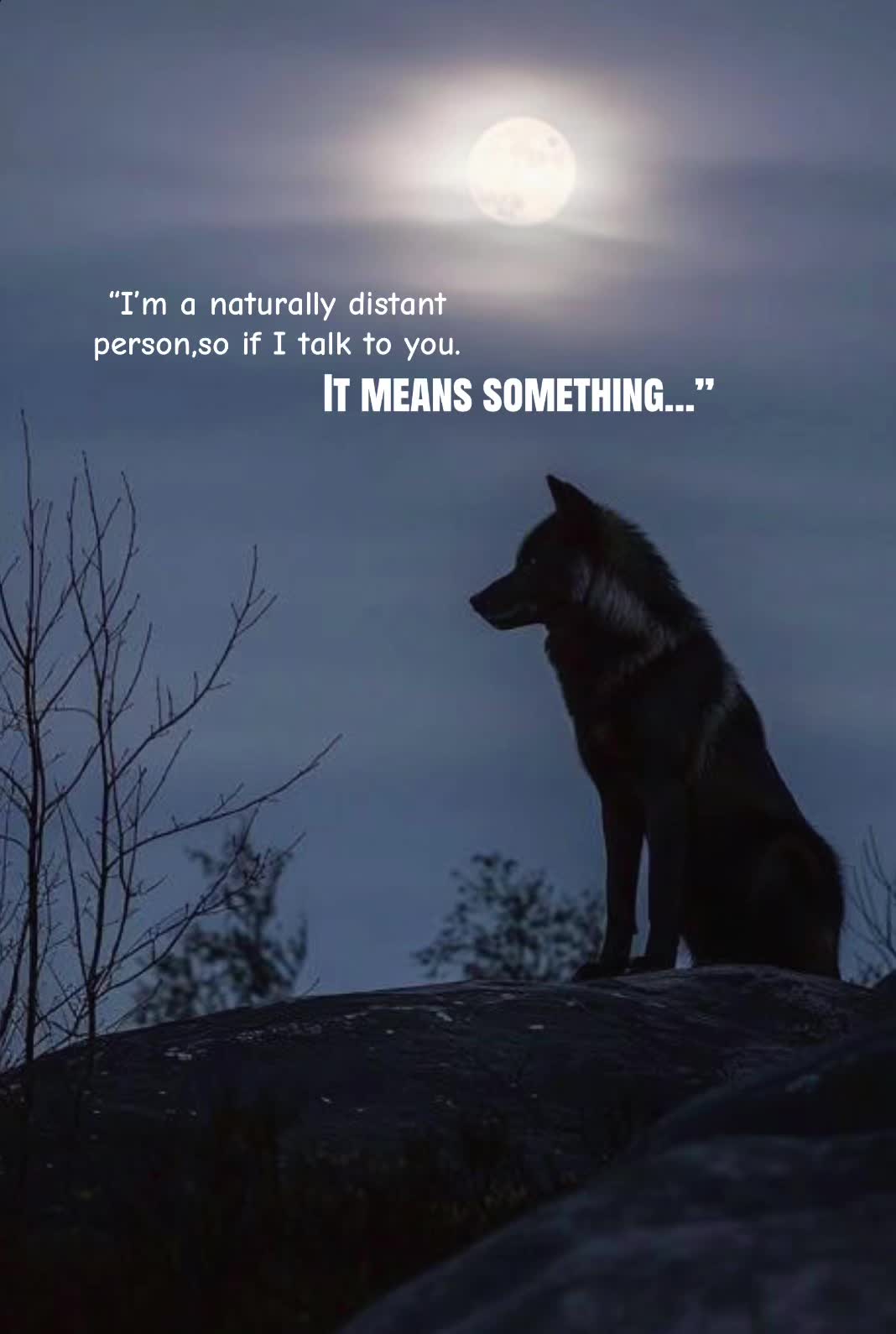 @🪬Conscious_LoneWolf🐺