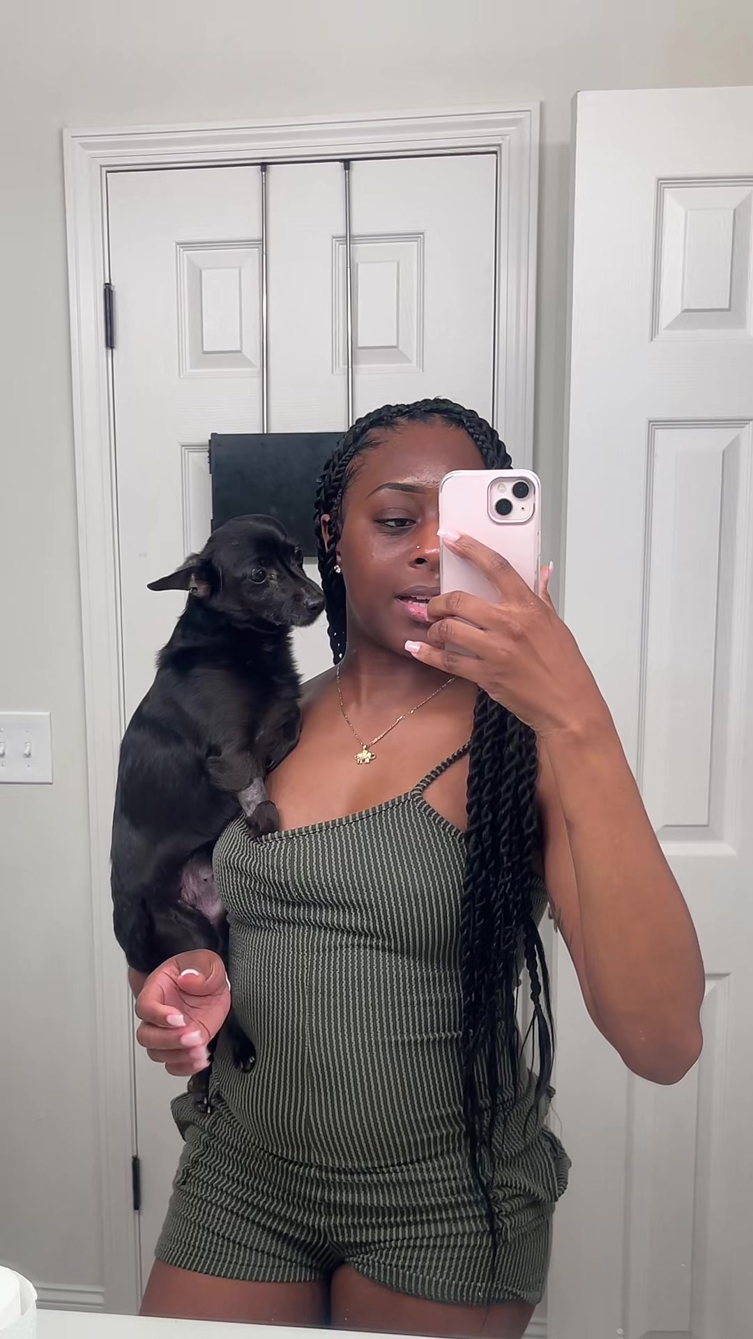 @Blackjack_Chihuahua