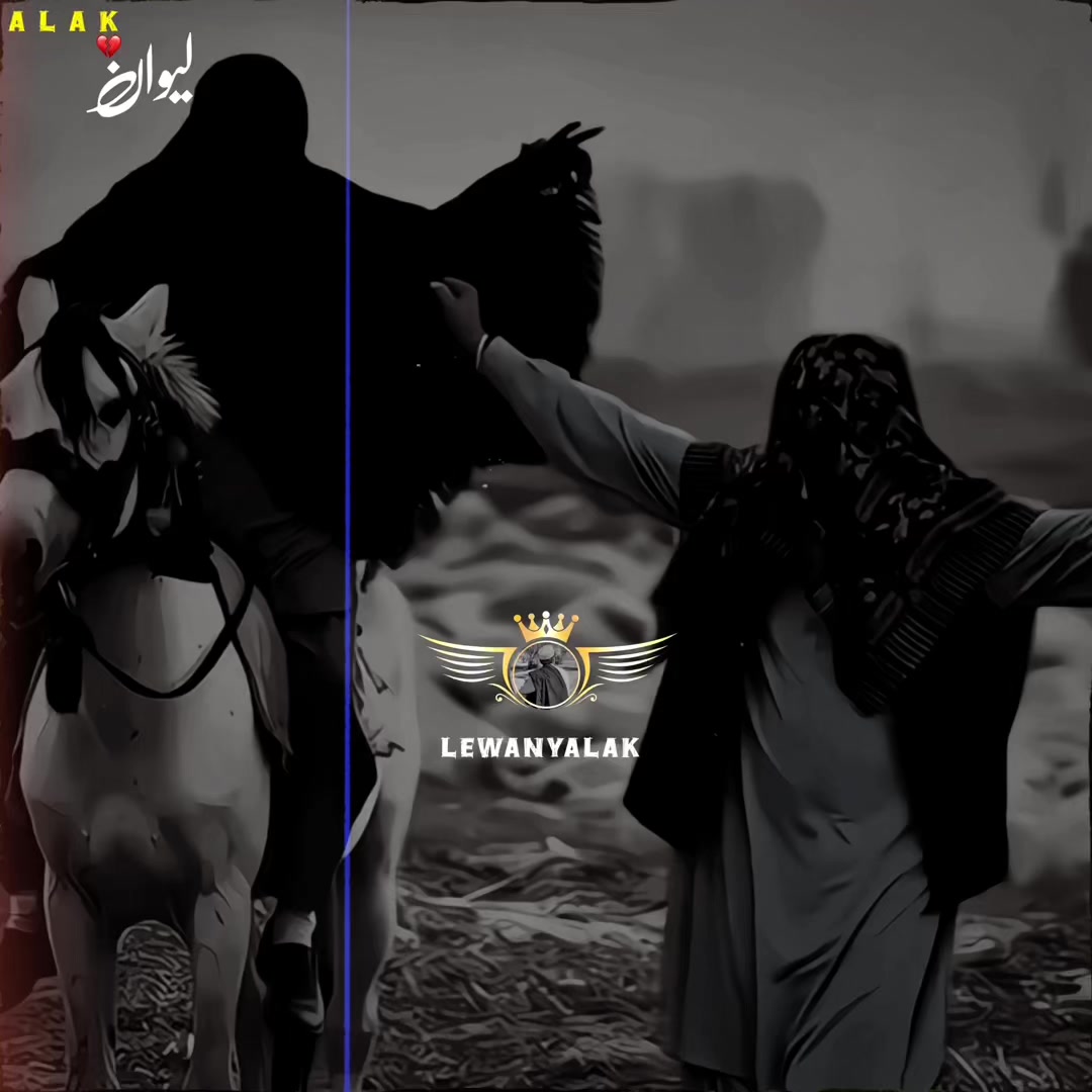 @🤍لیونے الک 🔥