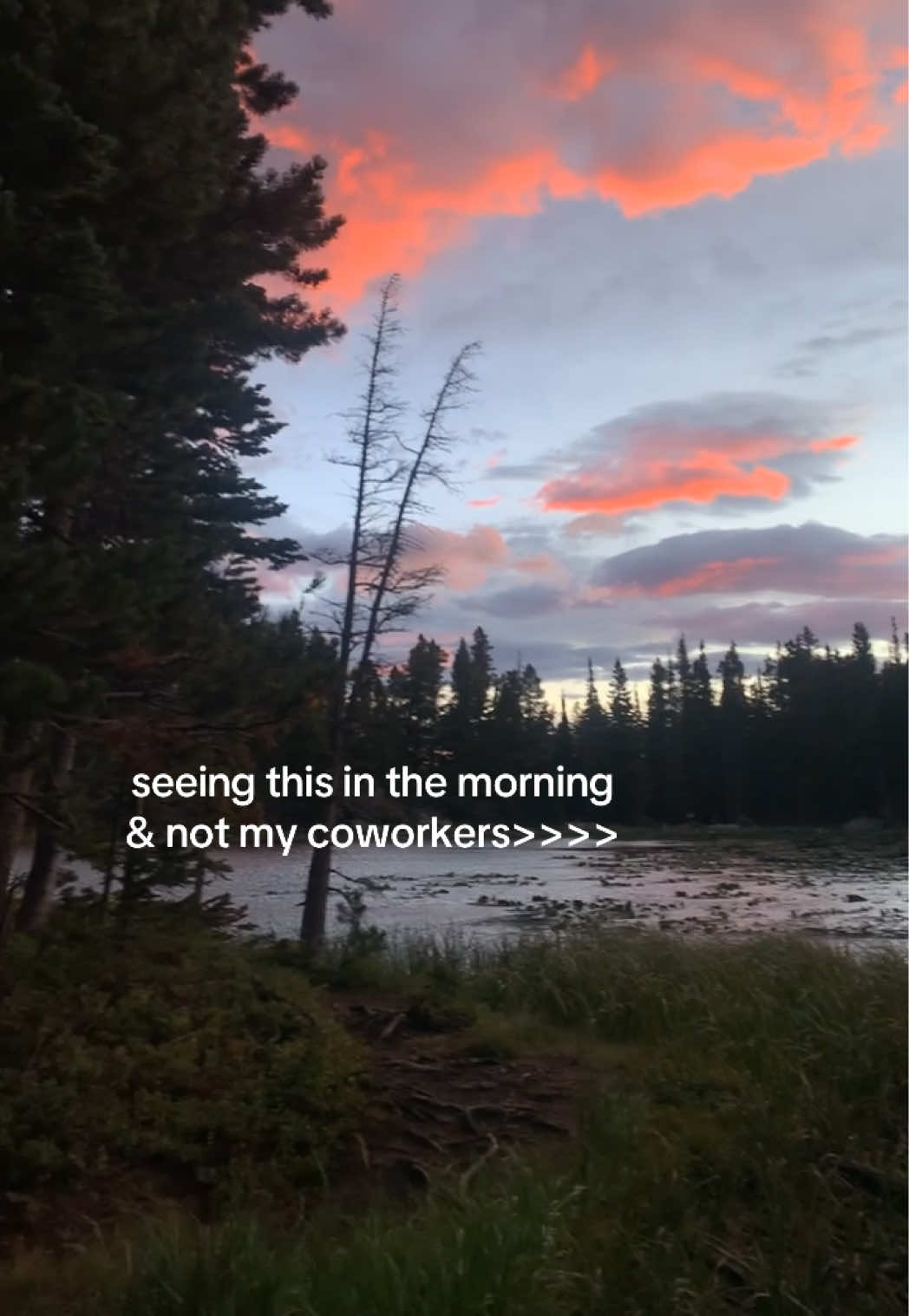 @Emalee ⛰️✨🦌