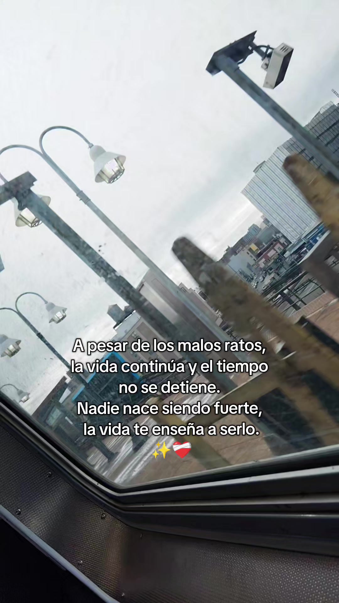@Anita Quintero🕊️💔