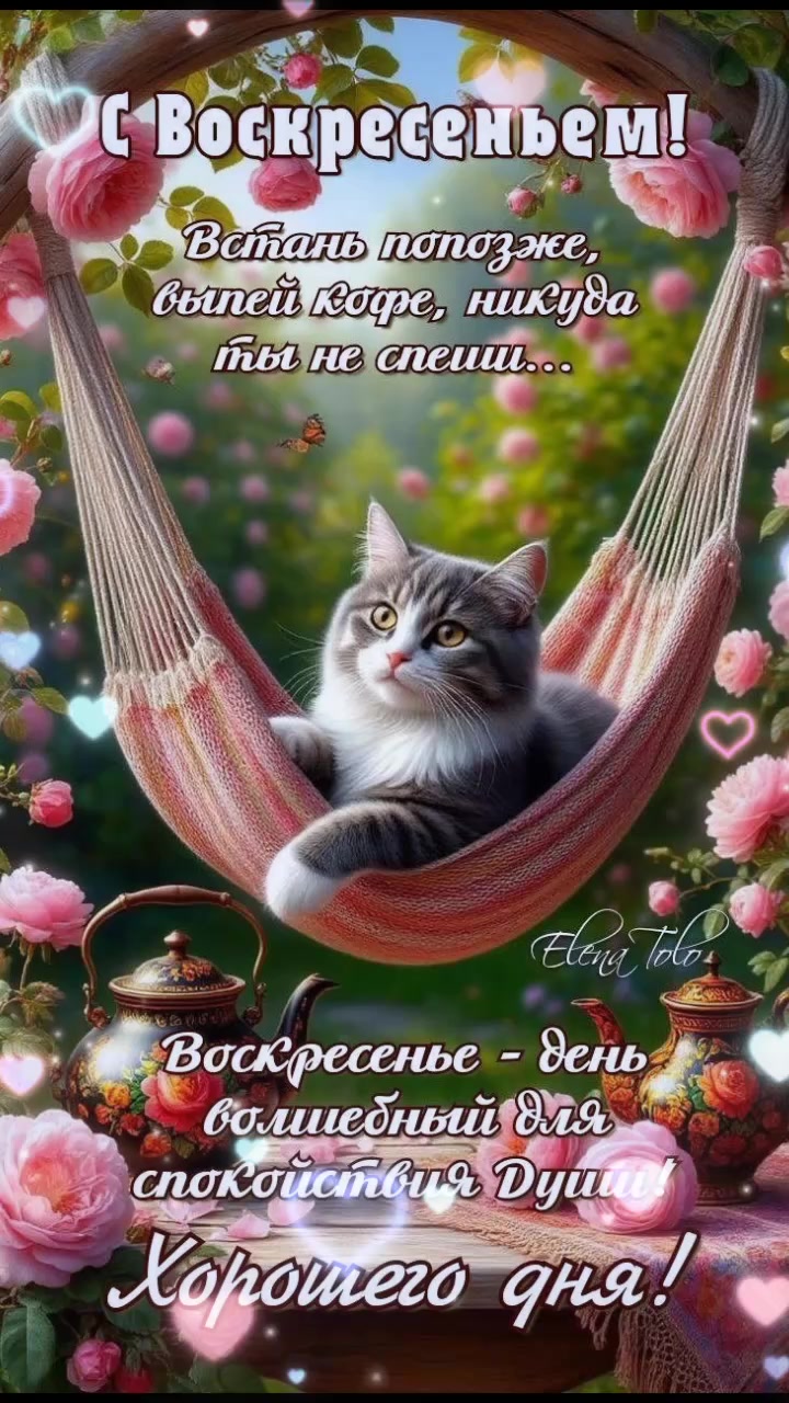 @Olya_1961