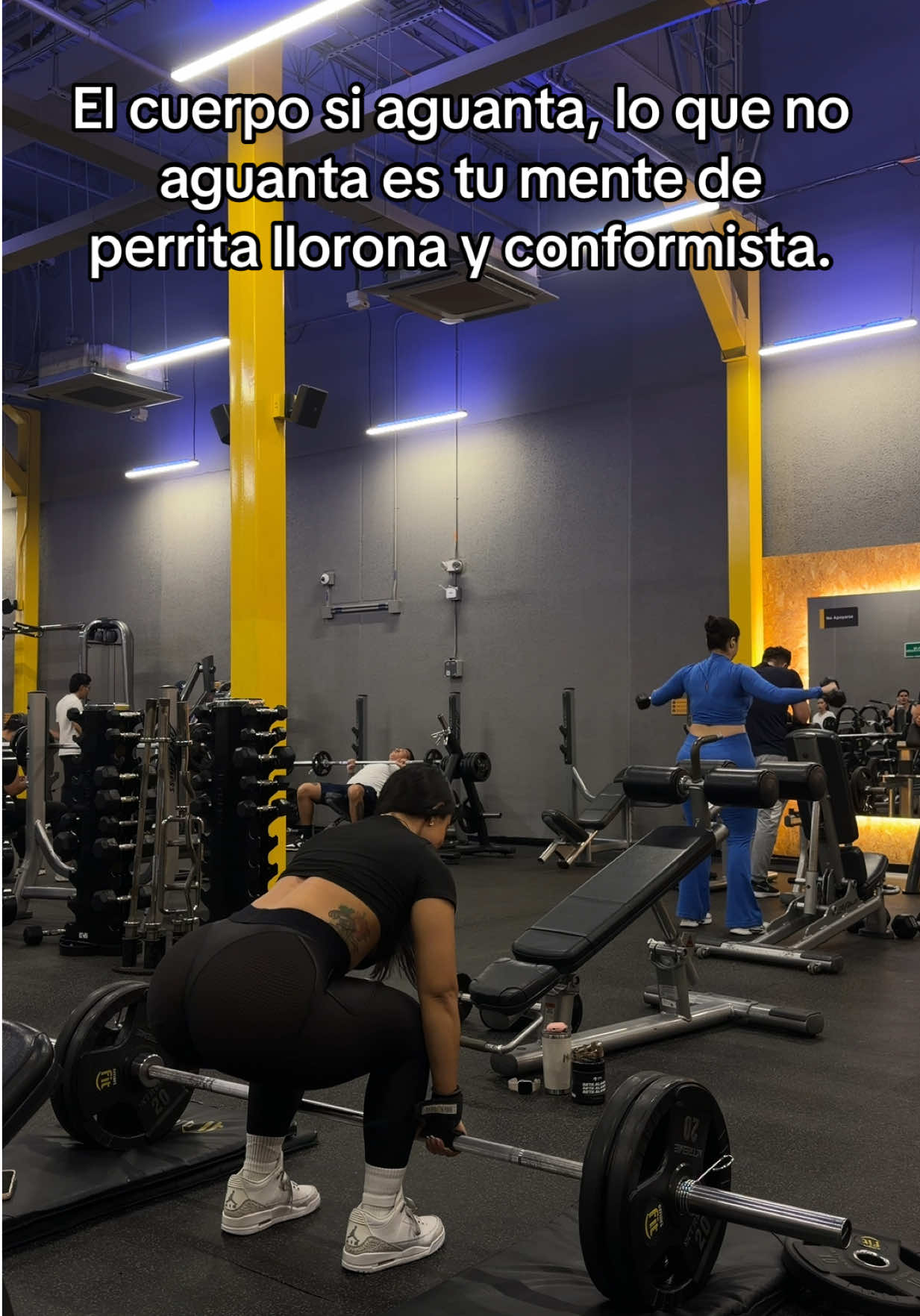 @Jimena Carvajal