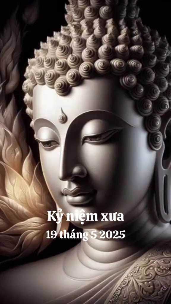 @nguyễn dung