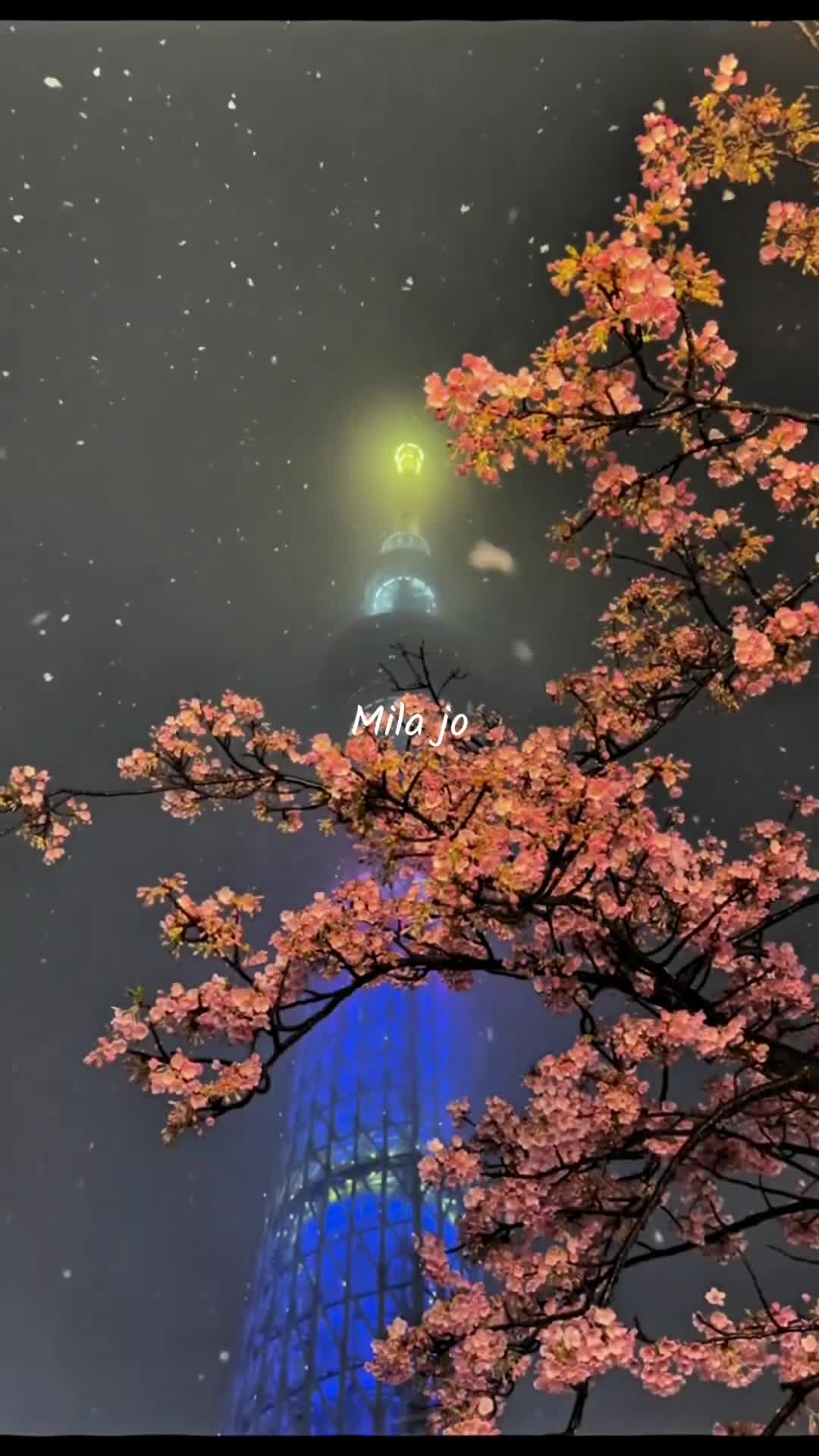 @★彡[ᴠɪʙɪɴɢᴡɪᴛʜ_ᴡᴀꜱɪꜰꜱʜᴀʜᴢᴀᴅ]彡★