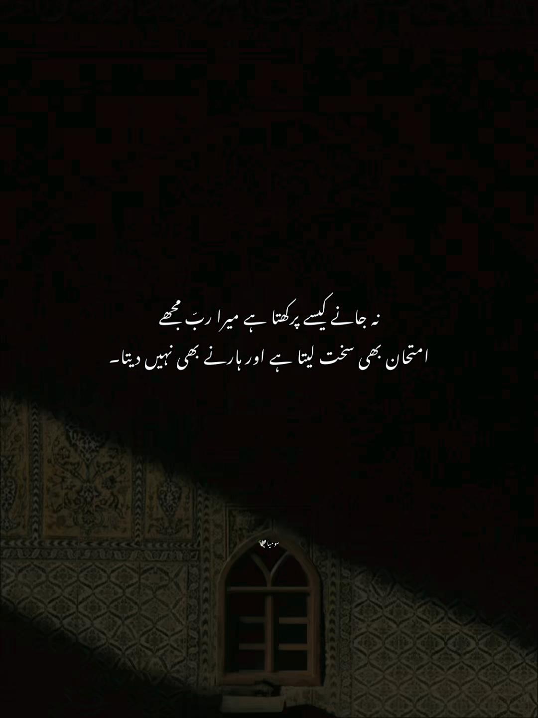 @سومیا🕊️