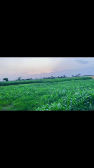 @👑🔥RANA MUBASHIR RAJPOOT 🔥👑
