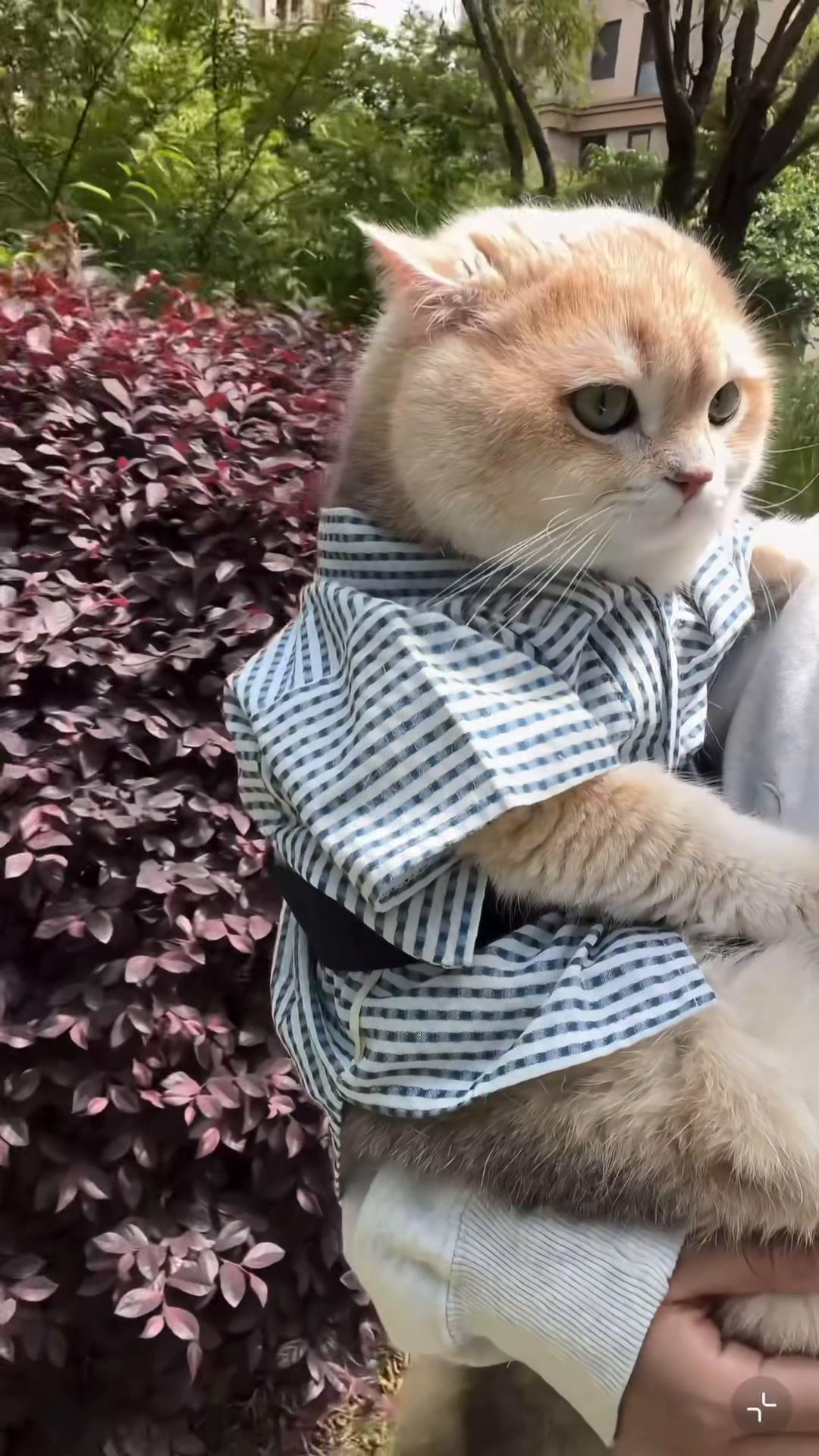 @My Daily Dose of Aww