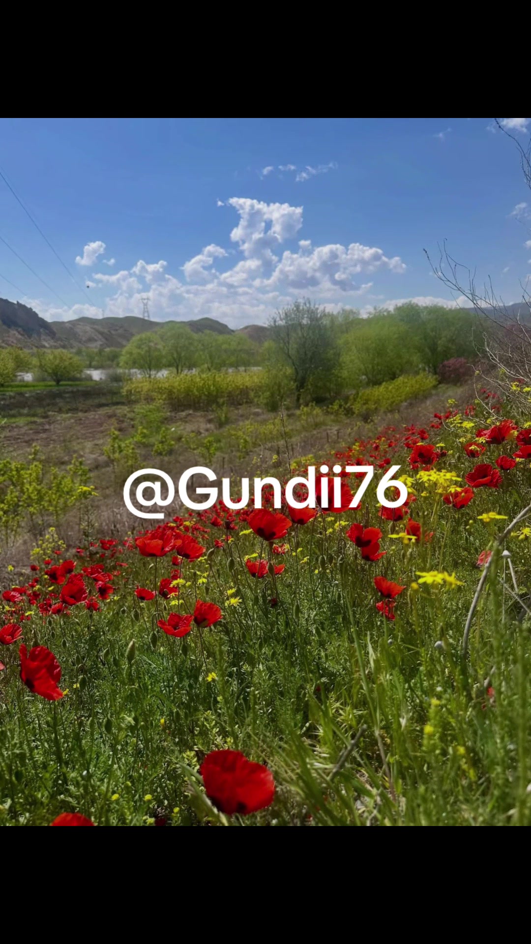 @✌️Kêçâ kurd'a✌️
