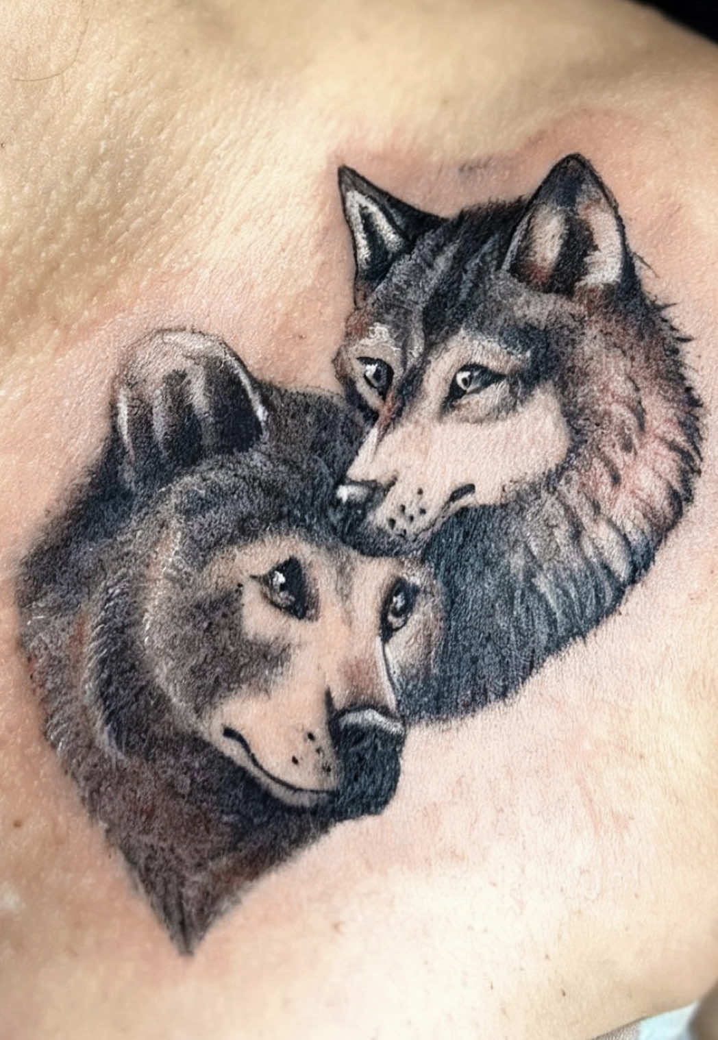 @O&rsquo;Malley Tattoo Nice