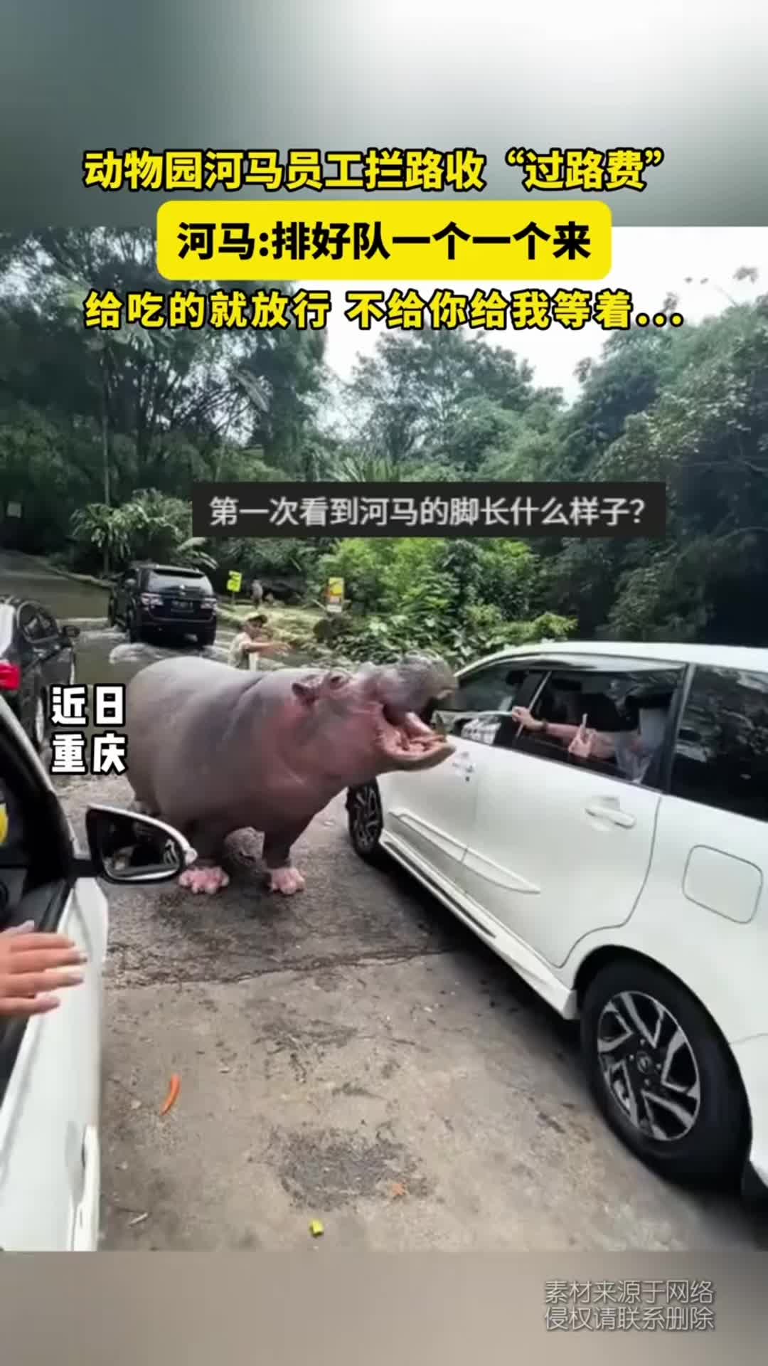 @中国蓝国际