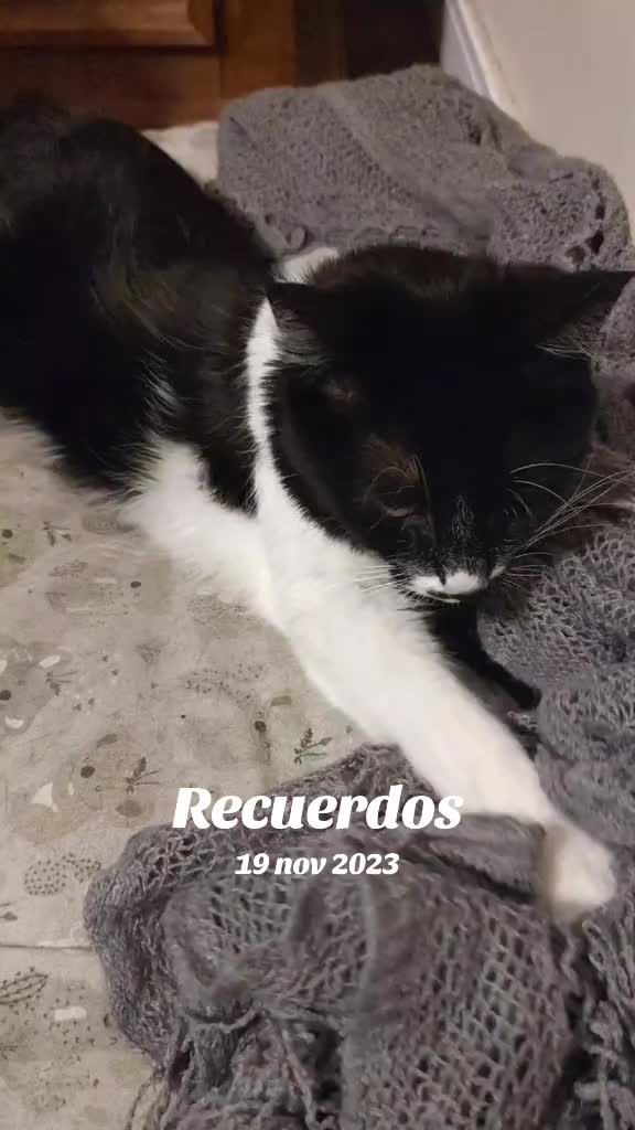@Ro