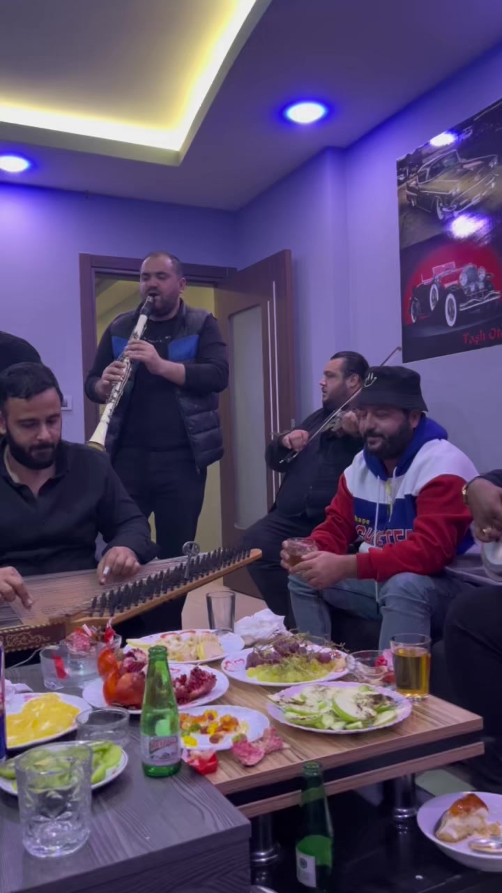 @Ali Memili
