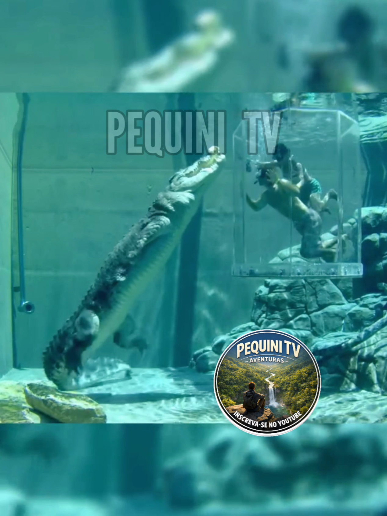 @PEQUINI TV