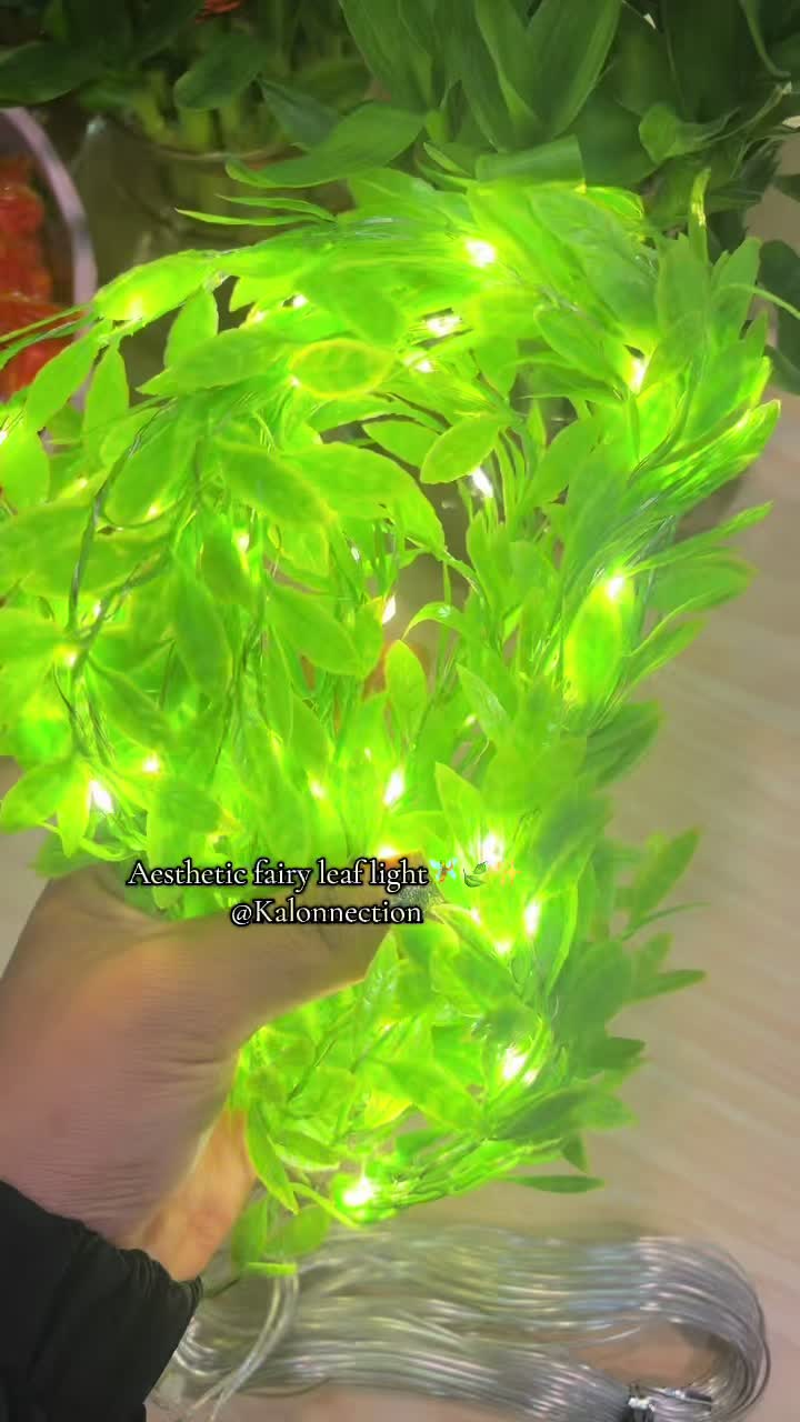 @Kalonnection