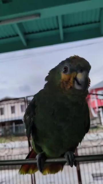 @𝓜𝓲𝔁𝓮𝓭 𝓲𝓷𝓭𝓲𝓪𝓷 🇬🇾