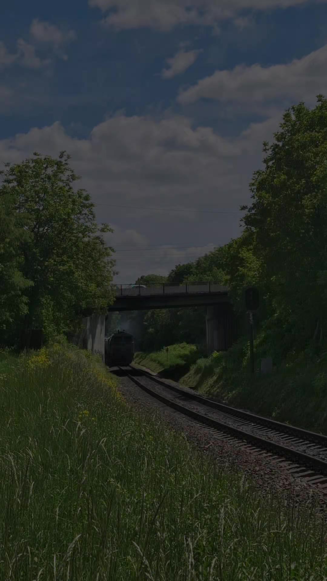 @Roma4ik🚄🛤️