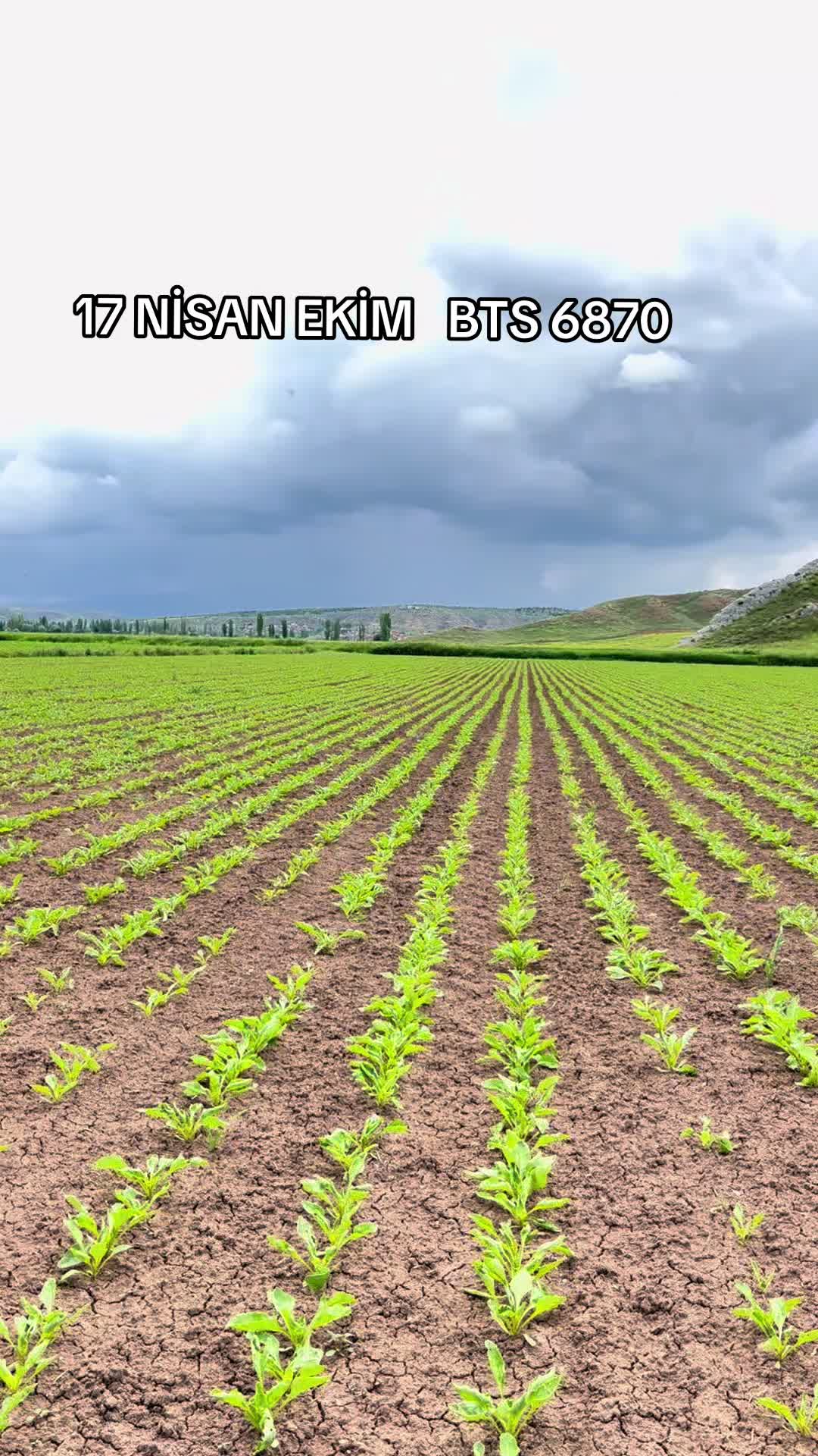 @HAYDAR