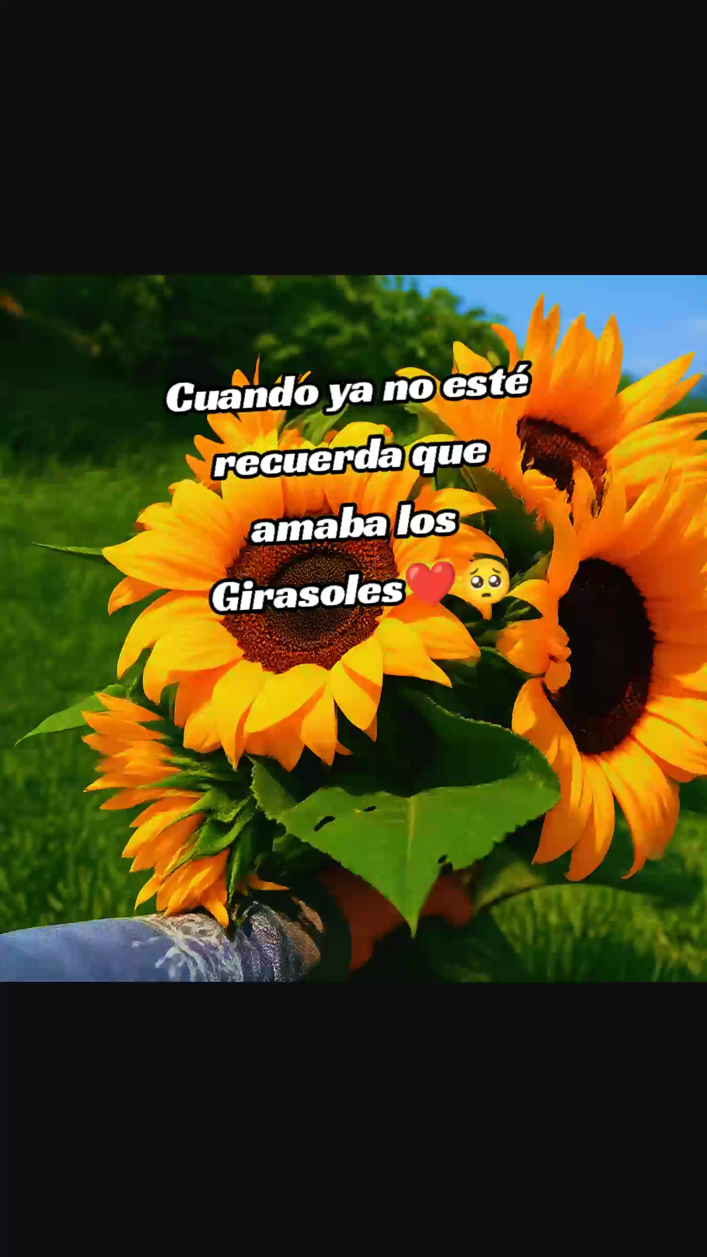 @DaYisLuka