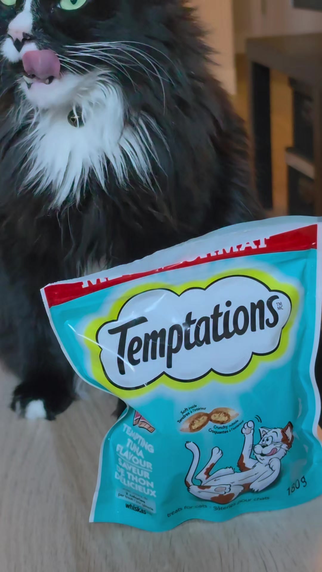 @AtticaTheTuxedoCat
