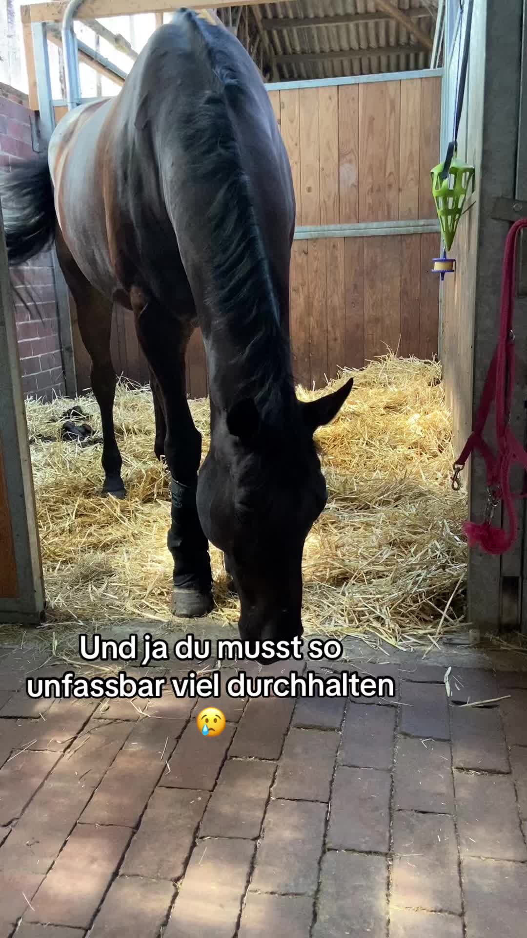 @leonie.0605
