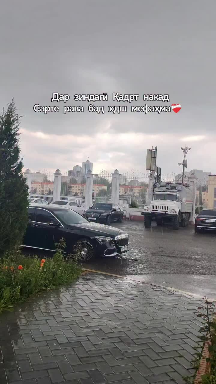 @🎀 Элиф 🎀