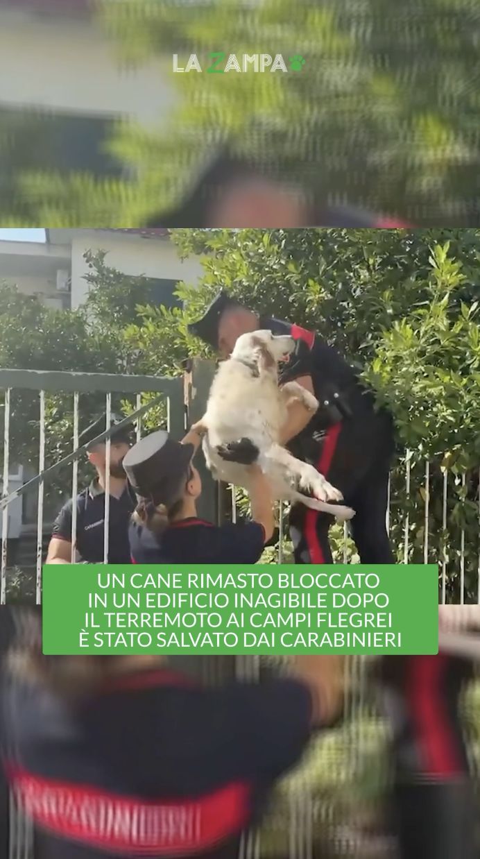 @la.stampa