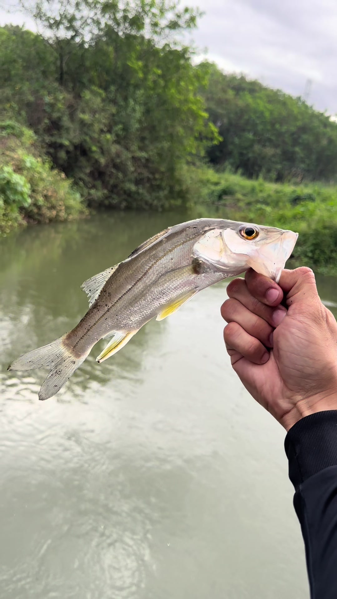 @Bideu Fishing