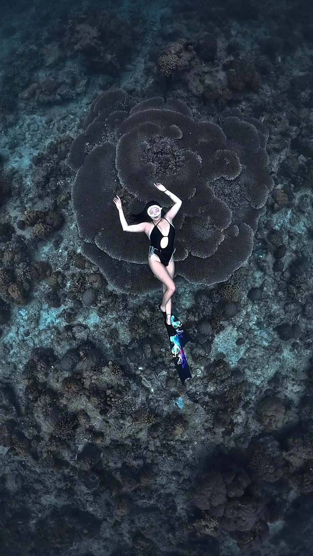 @Katrinaanch_On_IG