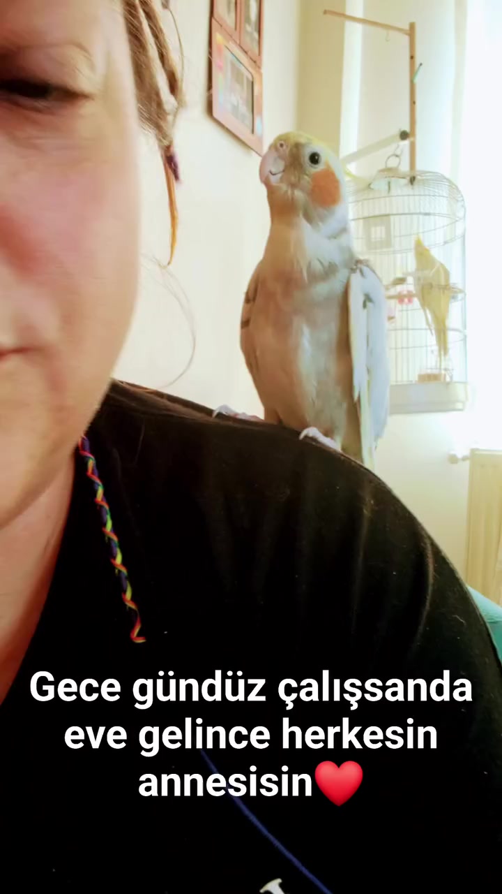 @nihalinbahcesi