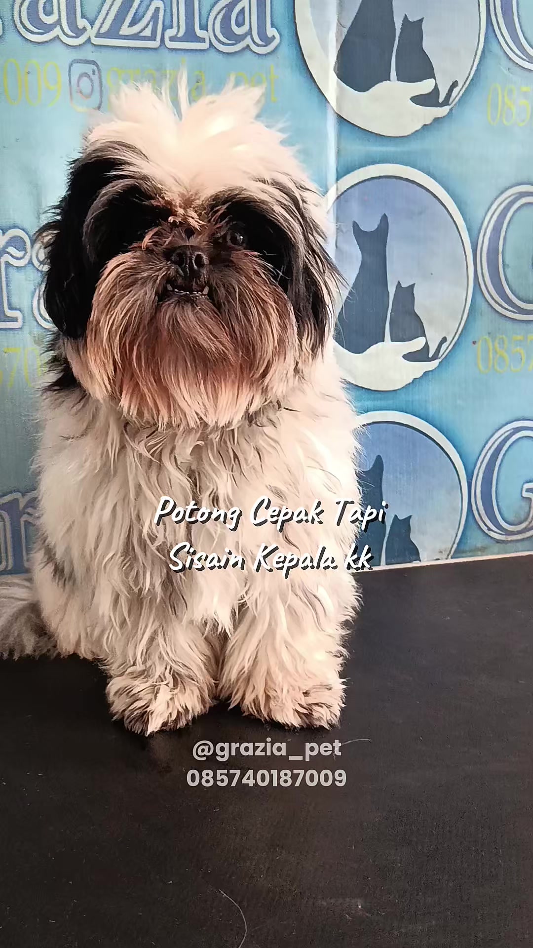 @Grazia Grooming Salatiga