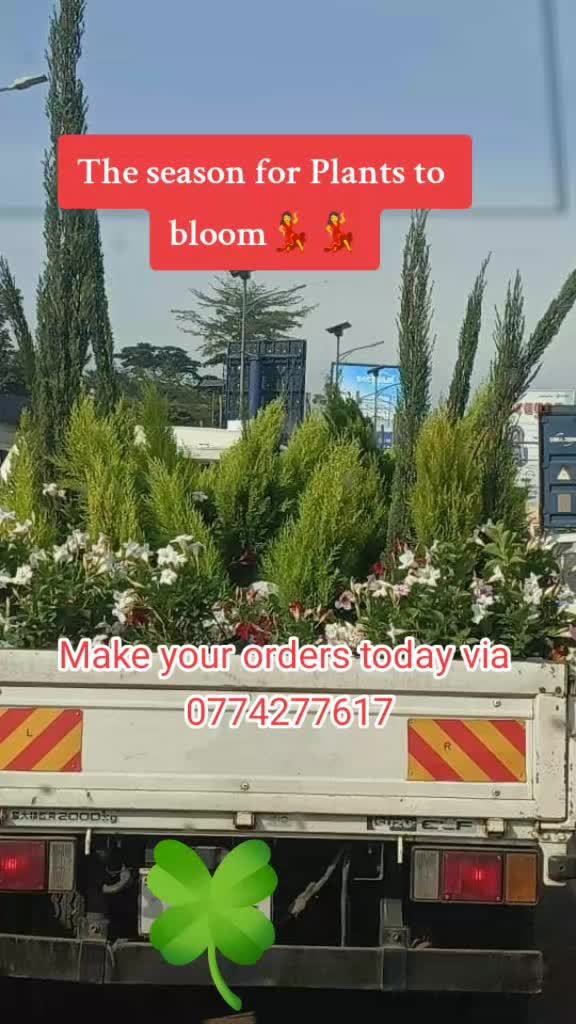 @Plants&PlantersbyChefJ (AJE)