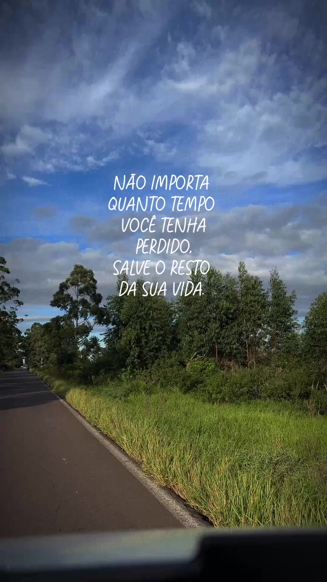 @Carina Ferrari
