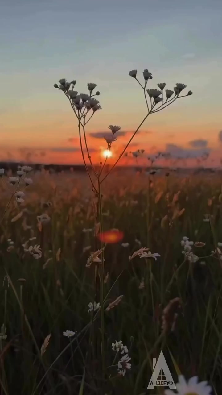 @smart_mom_anapa