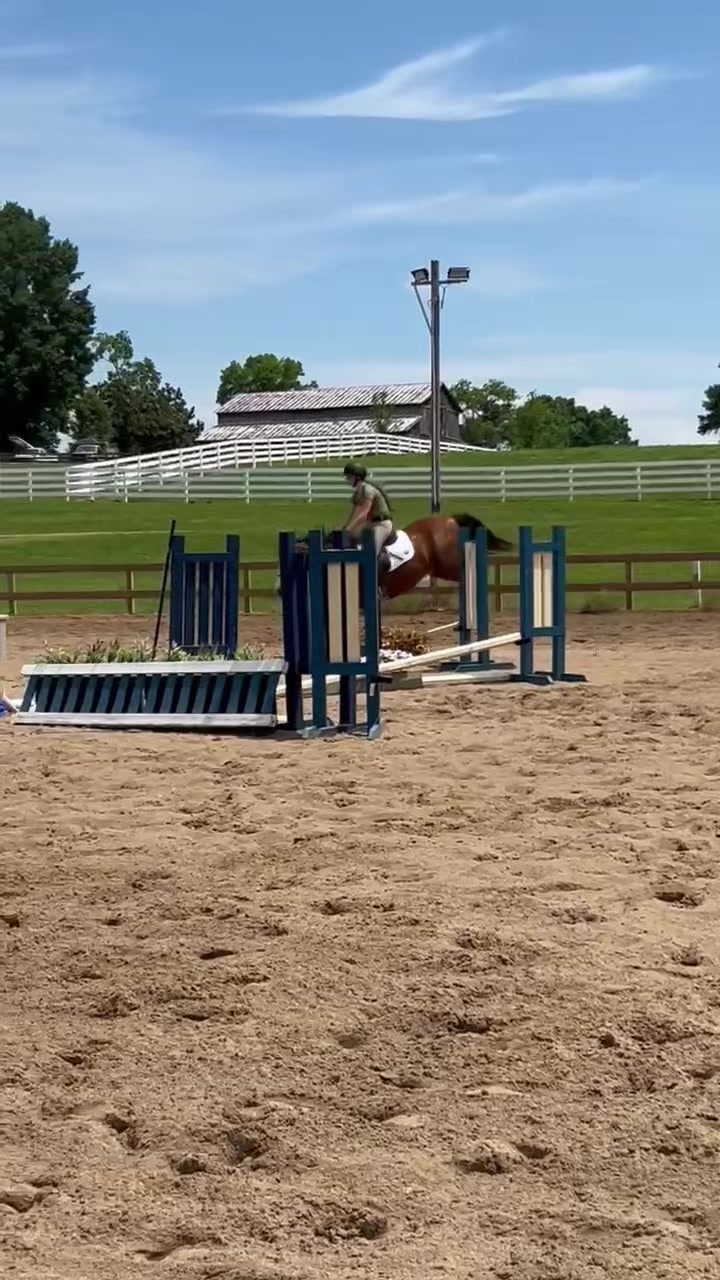 @Eleanor.eq