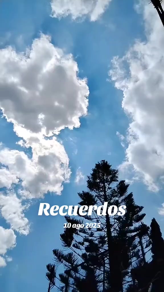@Romers Gaby