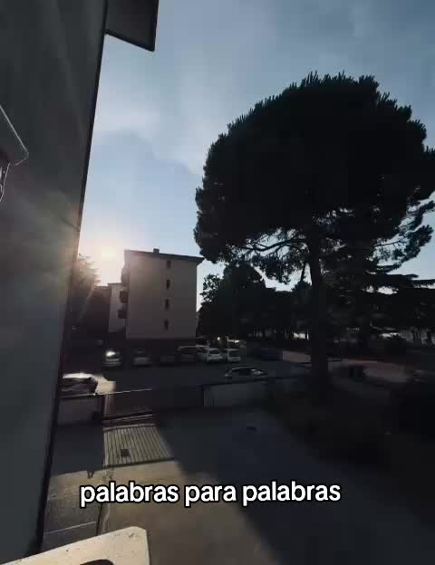 @alice