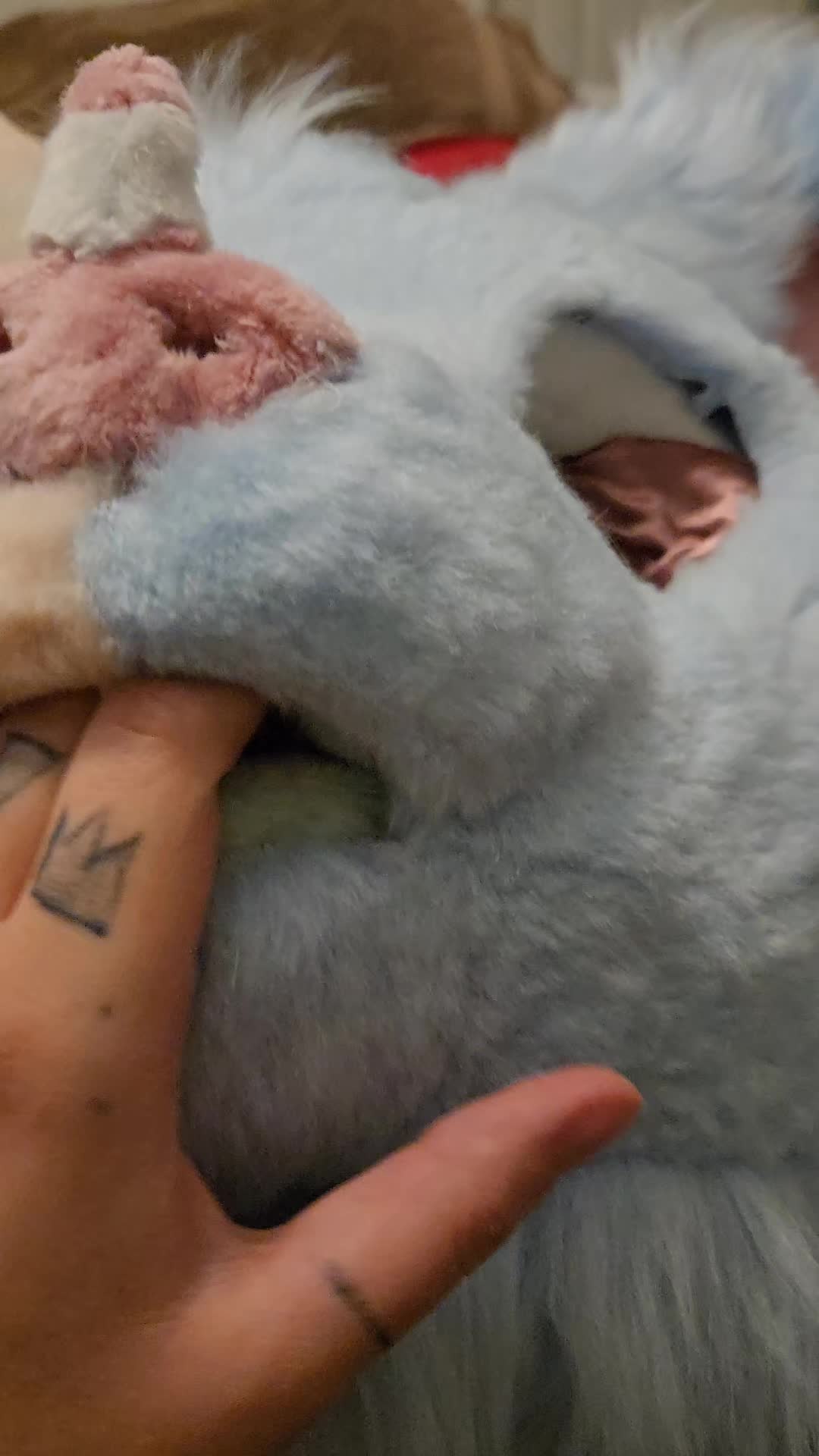 @Mouse