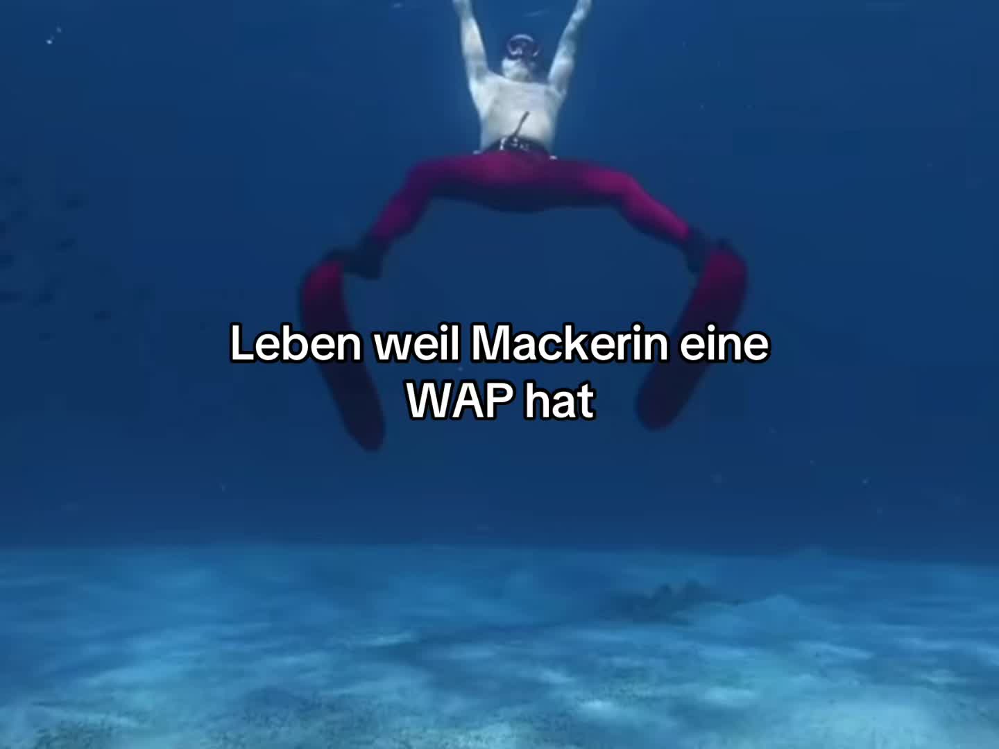 @mus1c_archive