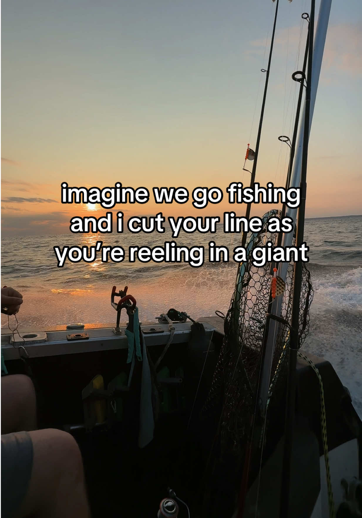 @tay