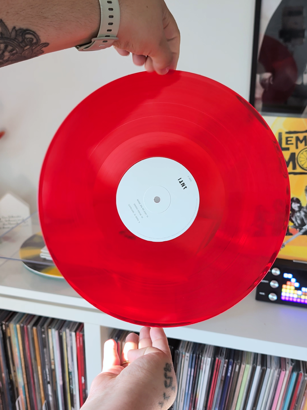 @Chrissy || Vinyl Collector 🎶✨