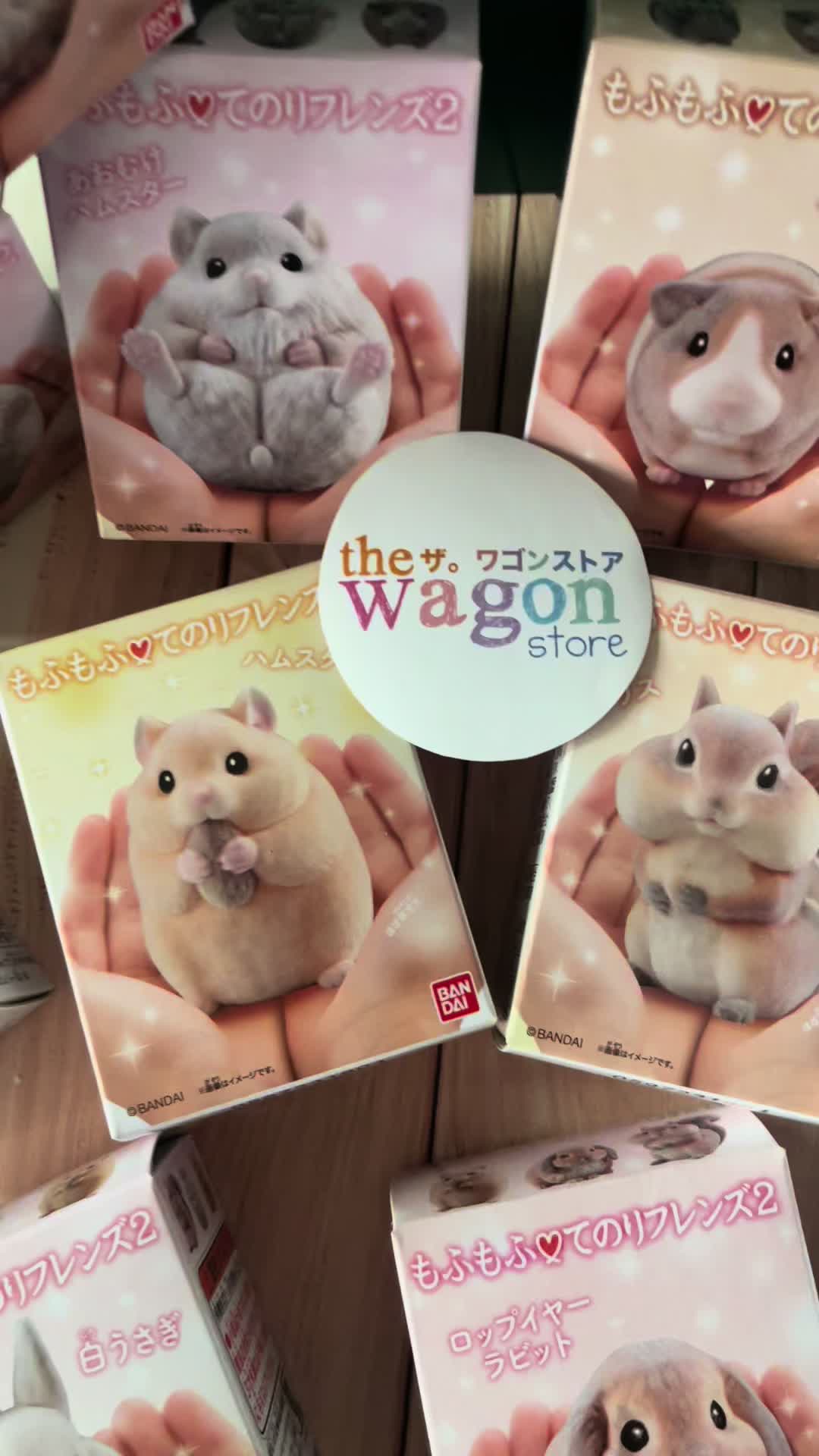 @Wagon Store Mexico