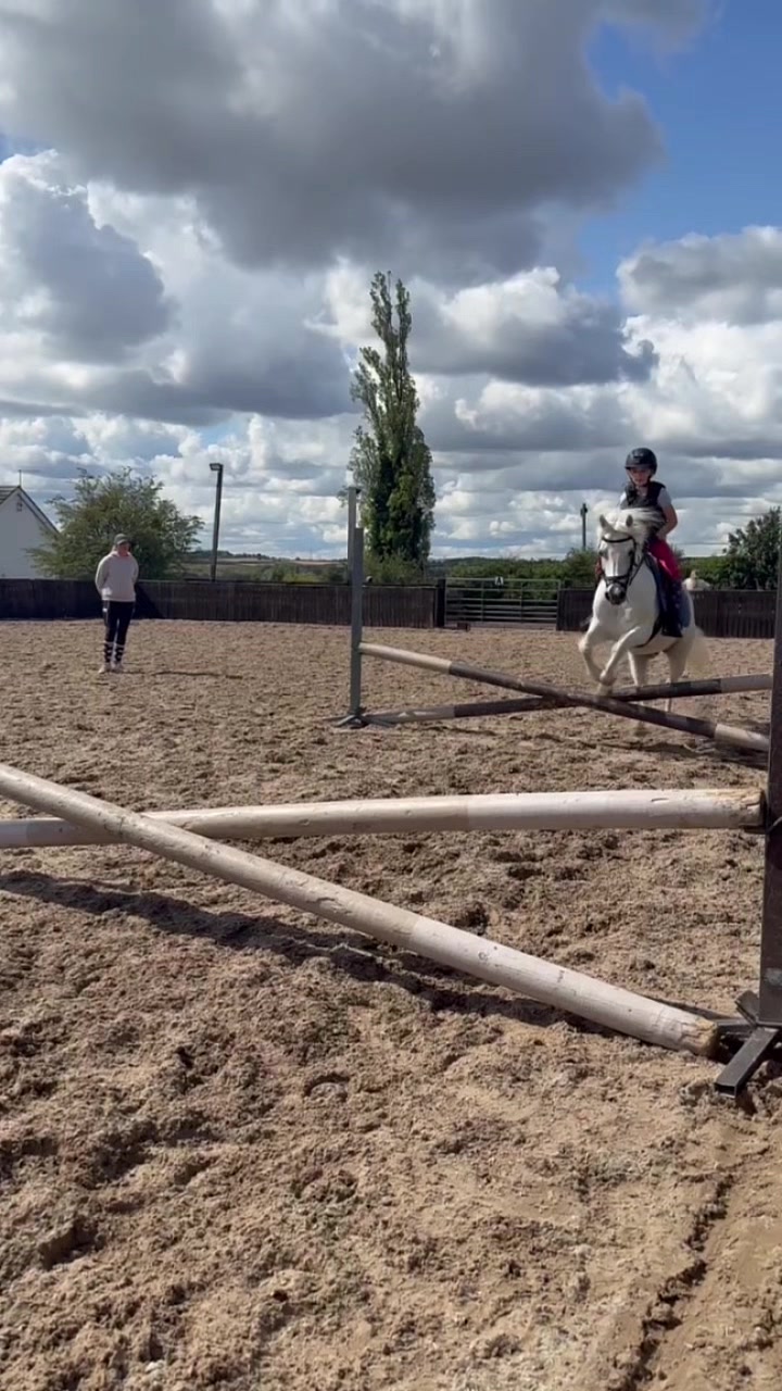 @LottiesHorseAdventures🦄🐴
