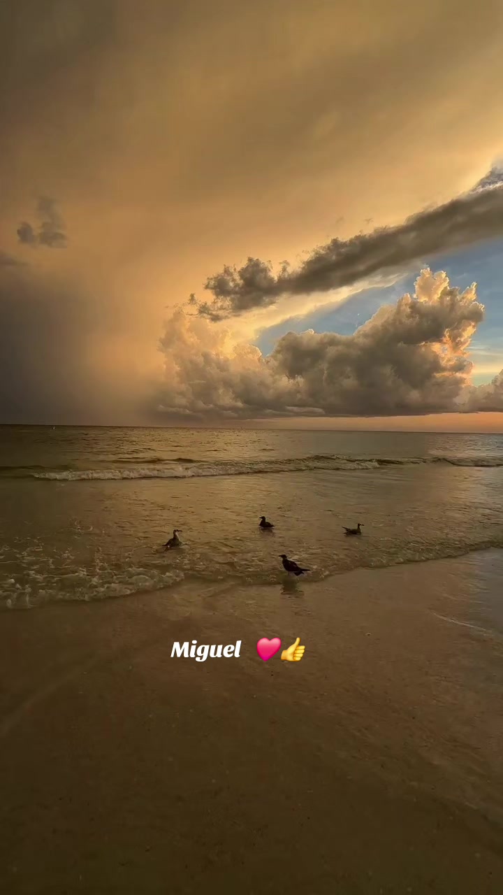 @Miguel Angel Marquez R.