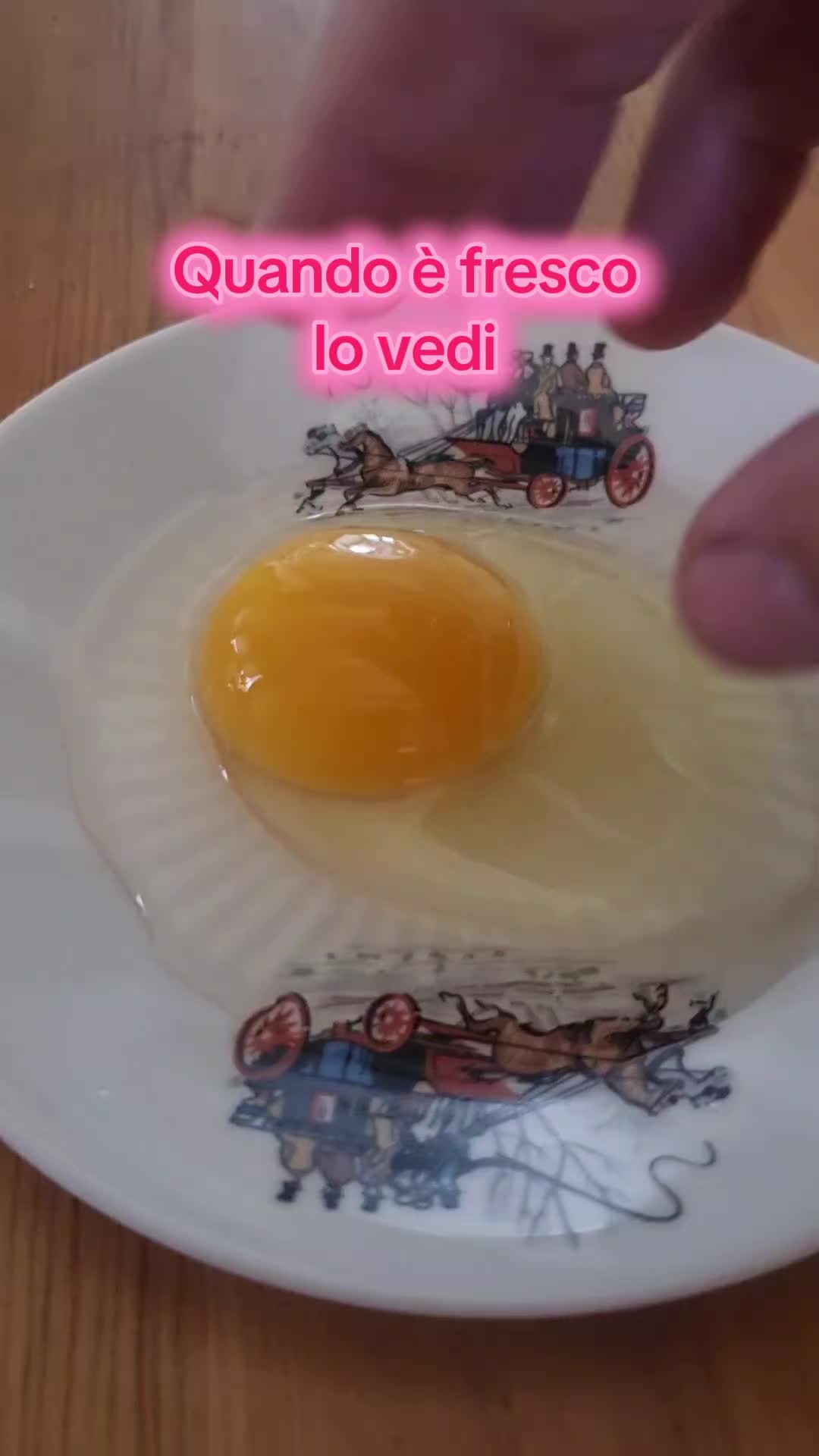 @Il leone e la gallina