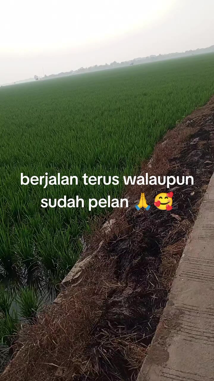 @Abd. syukur